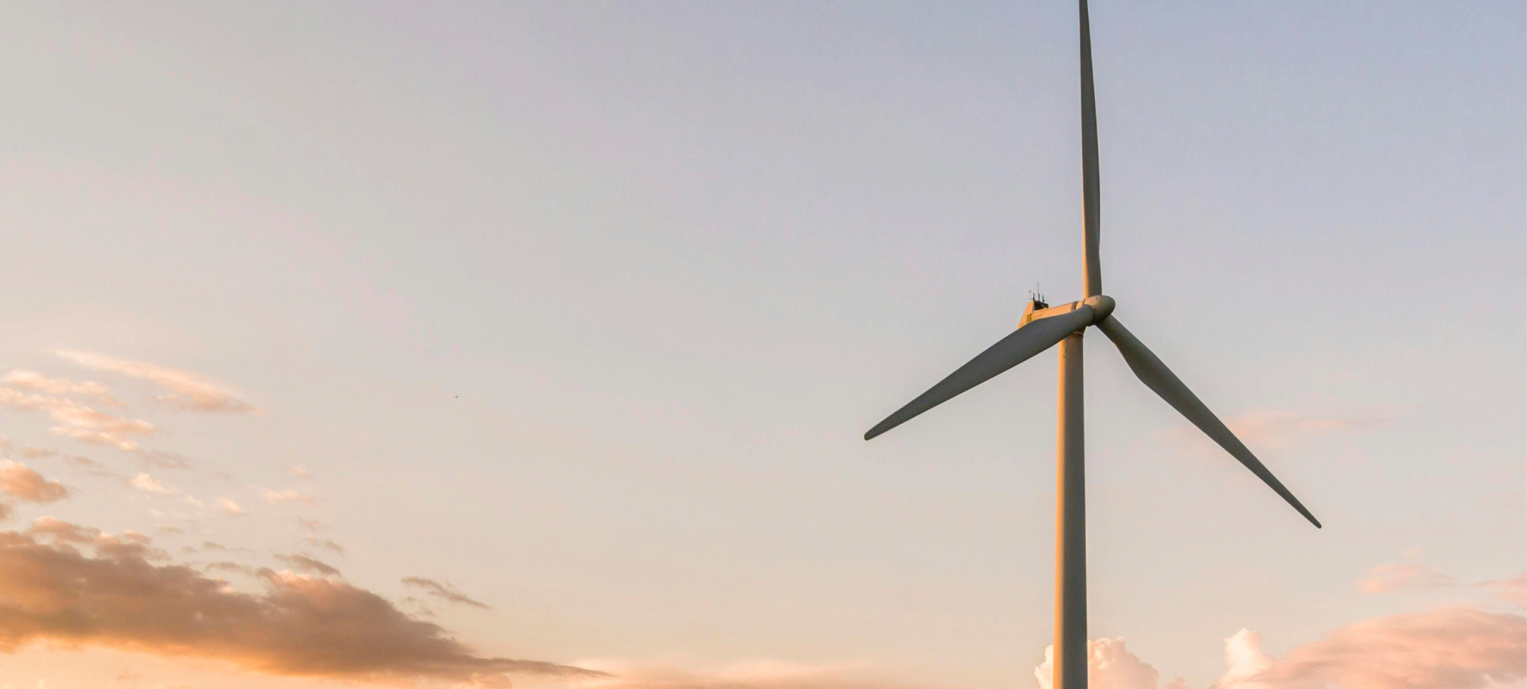 Promotores, IPPs y fondos de renovables